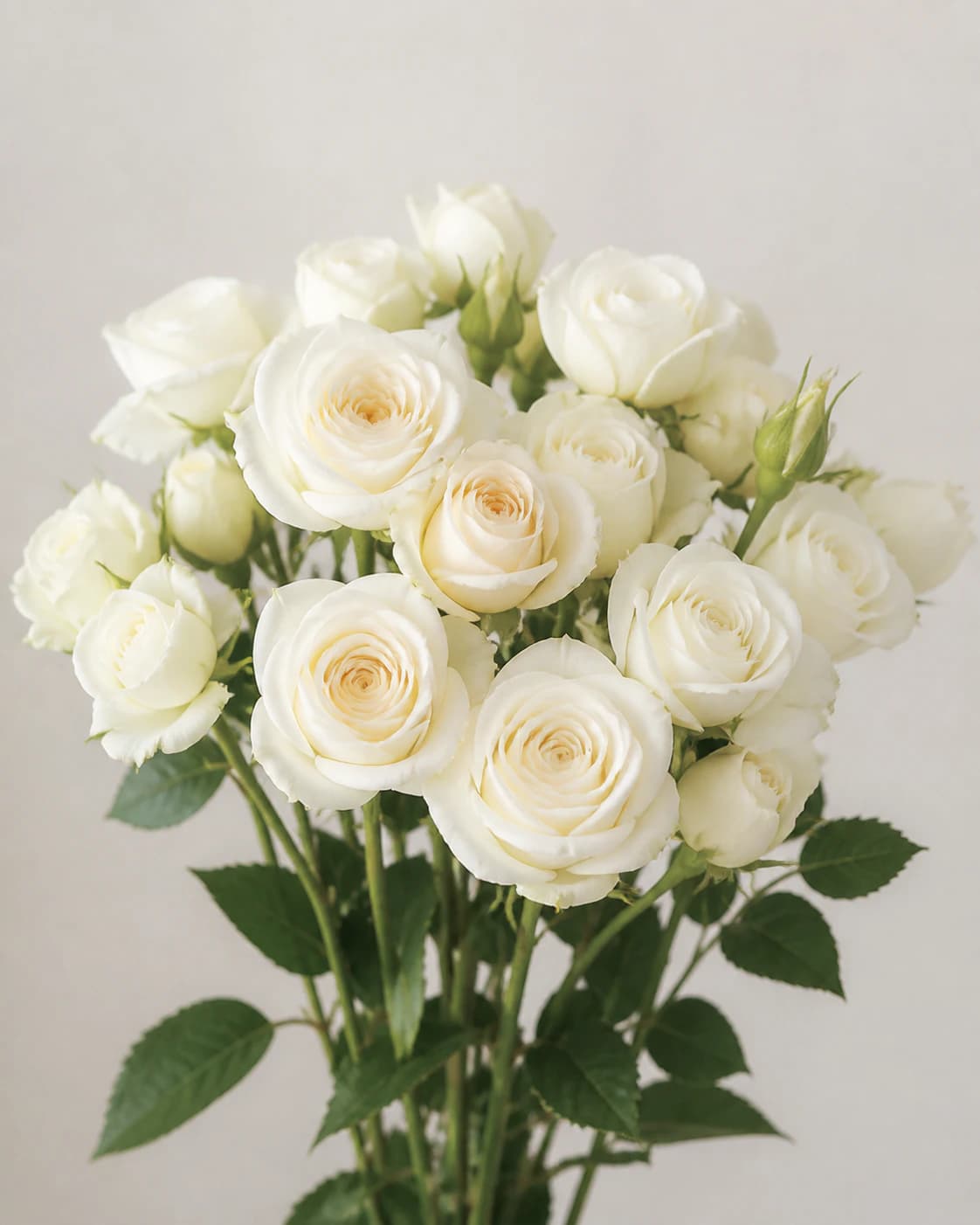 Representative white and ivory Spray Rose category image